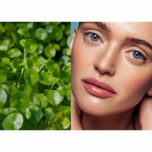 Centella Asiatica Cream